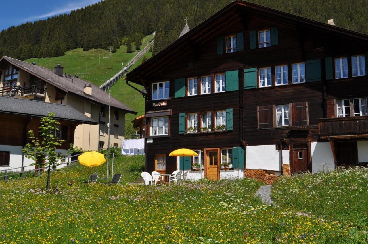 Chalet Bim Chilchli Mürren Εξωτερικό φωτογραφία