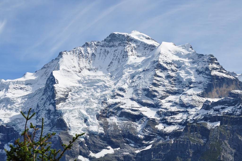 Chalet Bim Chilchli Mürren Δωμάτιο φωτογραφία