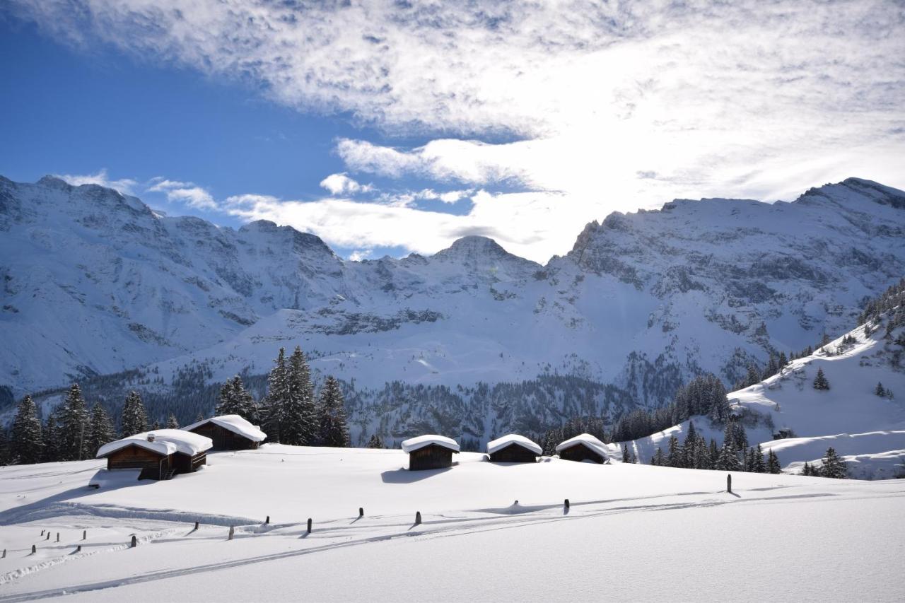 Chalet Bim Chilchli Mürren Εξωτερικό φωτογραφία